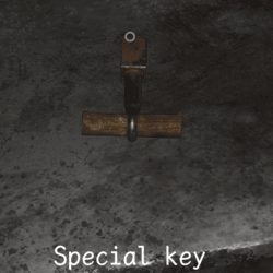 Granny: Escape Together Special Key