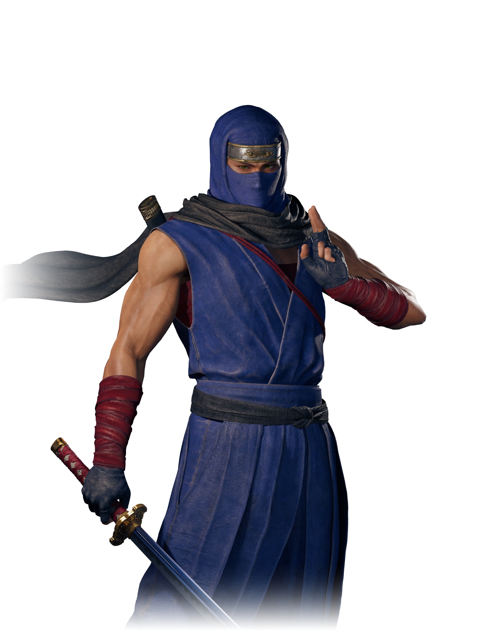 NINJA GAIDEN 2 Black costume